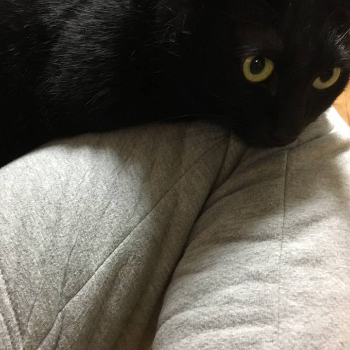 17e35785 a048 4457 bd92 65bf2f4dd45c