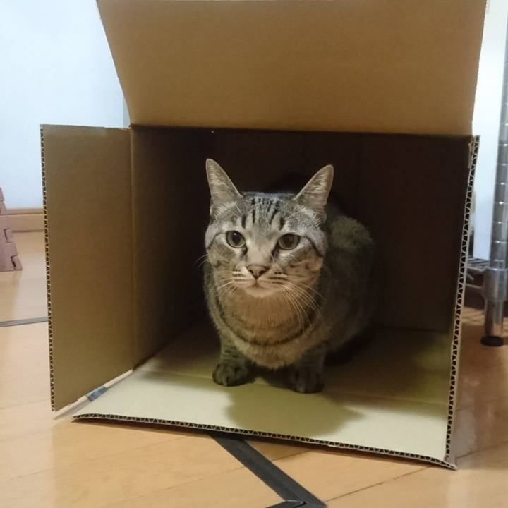 17e482cd f034 45c0 8663 b13b3c63b477