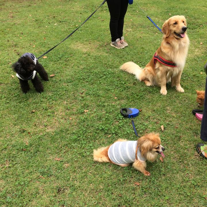 17e4b3ff b0d2 4eaa ba97 b5de53bd7b67