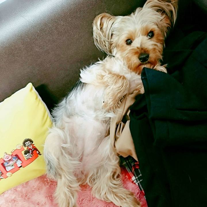 17e53475 94c3 4d13 bf3f 35b8a3a82f32