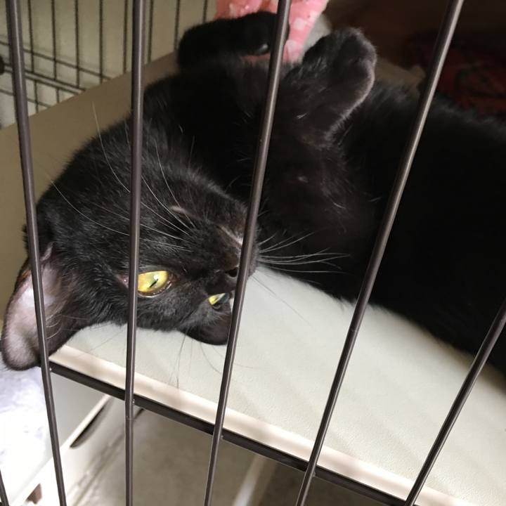 17e55b8d fa3a 448b 9a32 6b72334db6b0