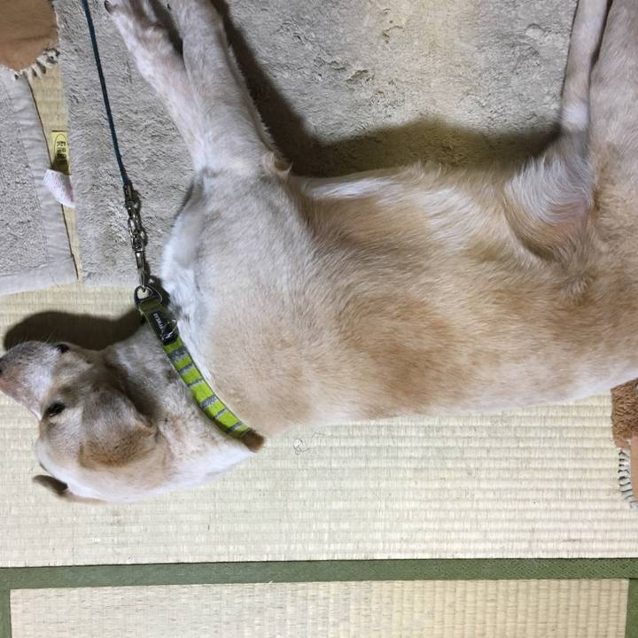 17e65754 d658 4a4d aedb b3add52325a4