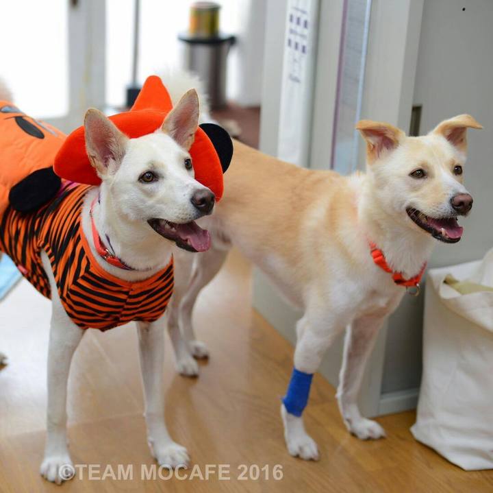 17e742a8 56ff 4995 9881 f97f11c67258