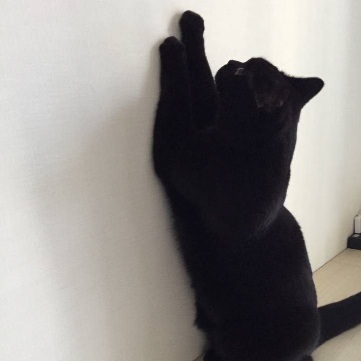 17e748b4 ad8f 4d9f ac60 8e136260e36a