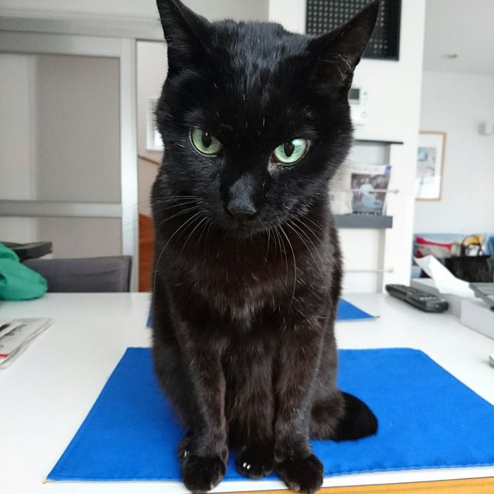 17e77112 2a62 4363 ab87 365cdadd7c8c