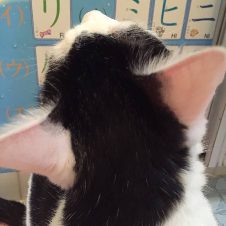 17e7a13e d38c 4f84 8ff8 60382aaba4d5