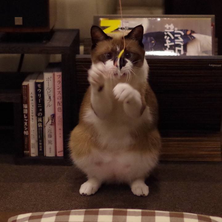 17e7e8bc a23e 4055 8474 7e23a1169618