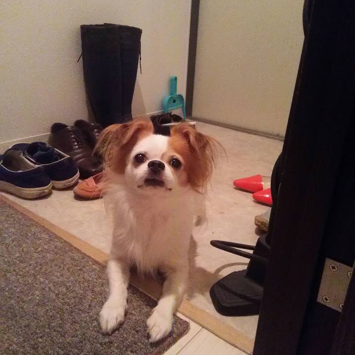 17e80fff 34fe 42d3 b024 eeb566189f02