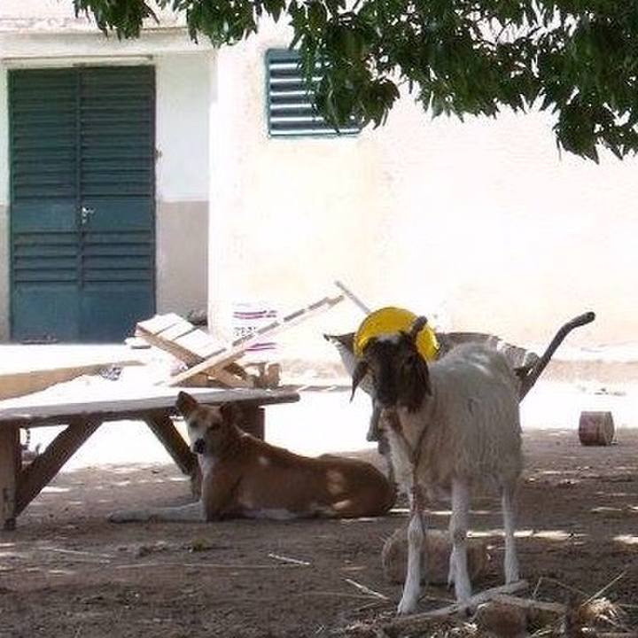 17e86b34 80ad 42b0 9f08 e07471896c08