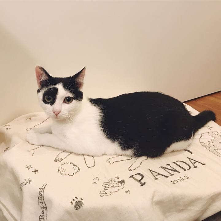 17e870a8 1af6 4c6f a09b 830a403265e3