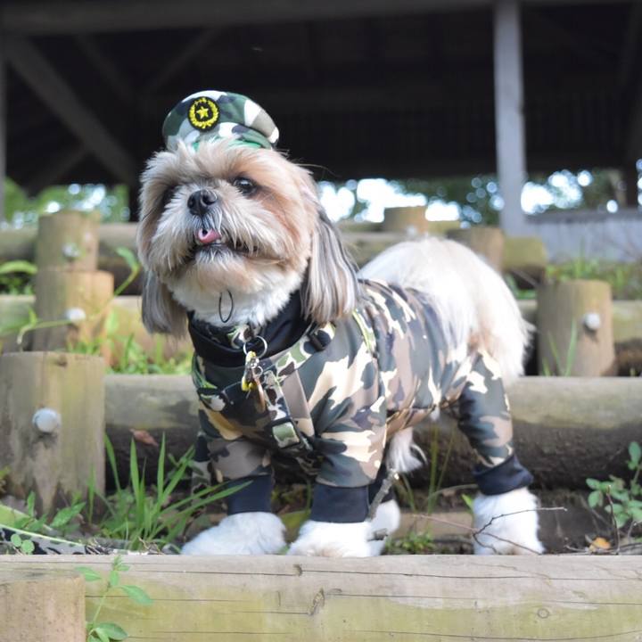 17e977a6 9428 4180 903e bdfde8123e79