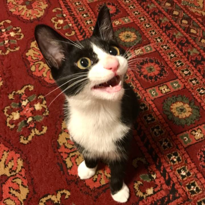 17e9a61d 2a2d 4e0f 8dab b0ea58b6003a