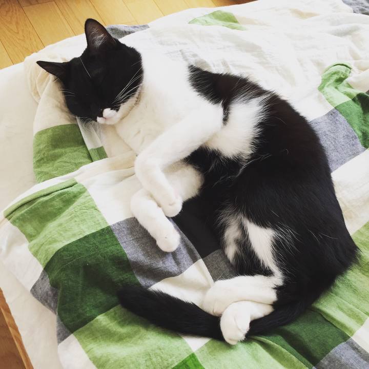 17ea4826 7500 47ae 845a 564b6d9ef373