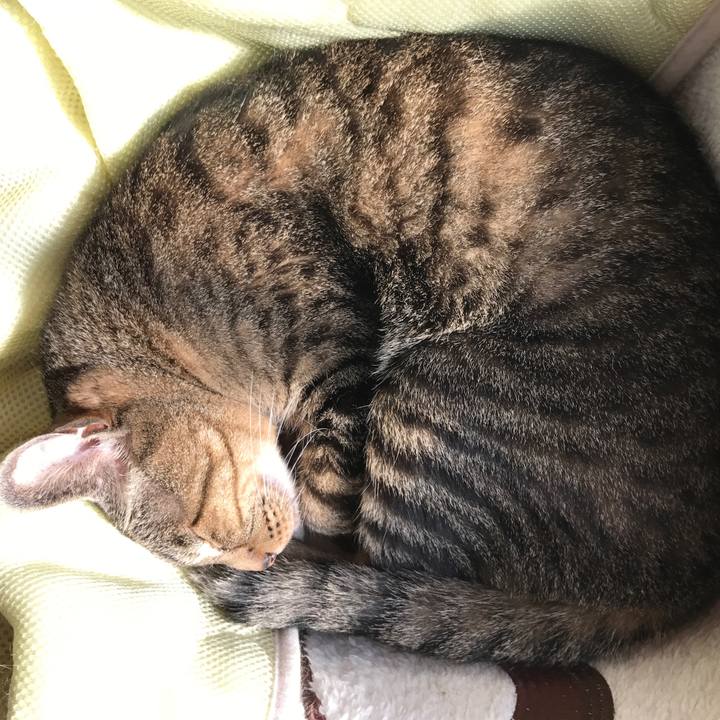 17ea5559 38f1 49bb ad15 2f19bfe56ba7