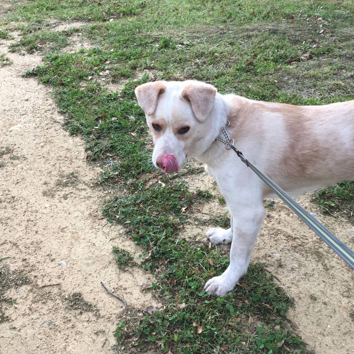 17ea854e 46e3 4b3b 9ce2 7b2de5e13181