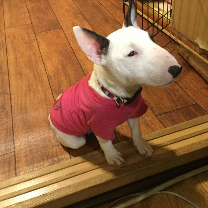 17eaba64 4195 4b4a aa9f 745f6c7fe2b3