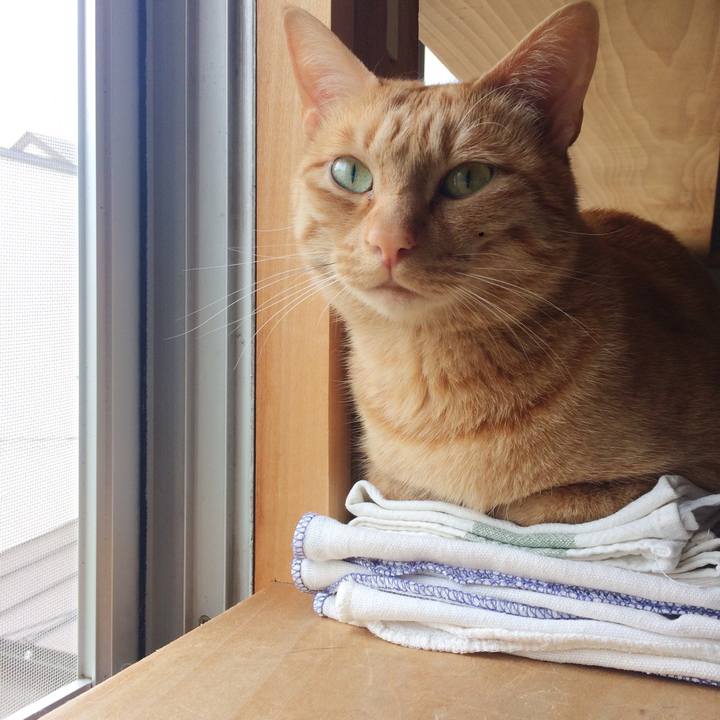 17eae3e3 6d16 452a a380 bf6a79b076a1