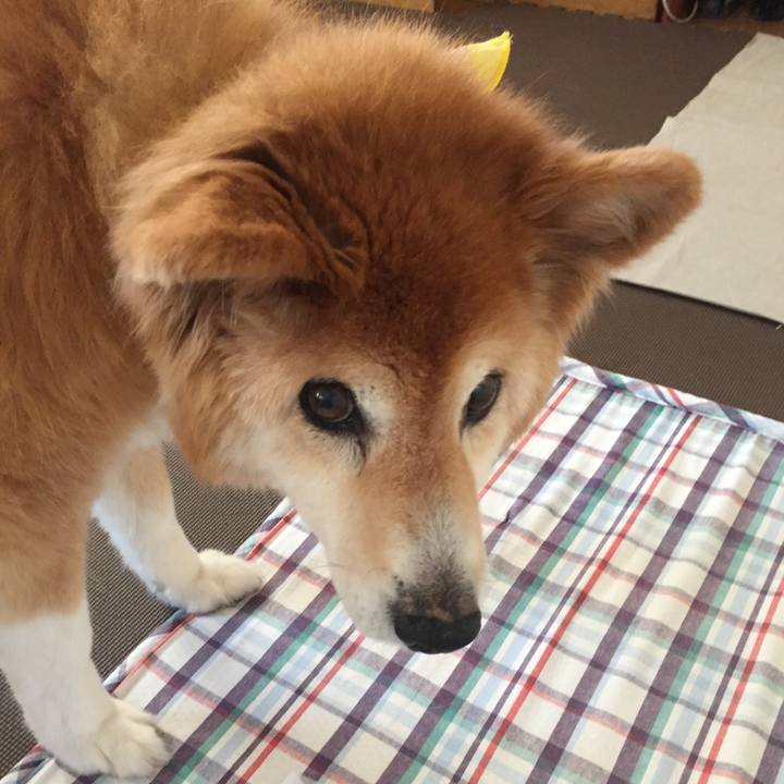 17ebfb43 010f 4c0f b990 5be196df8986