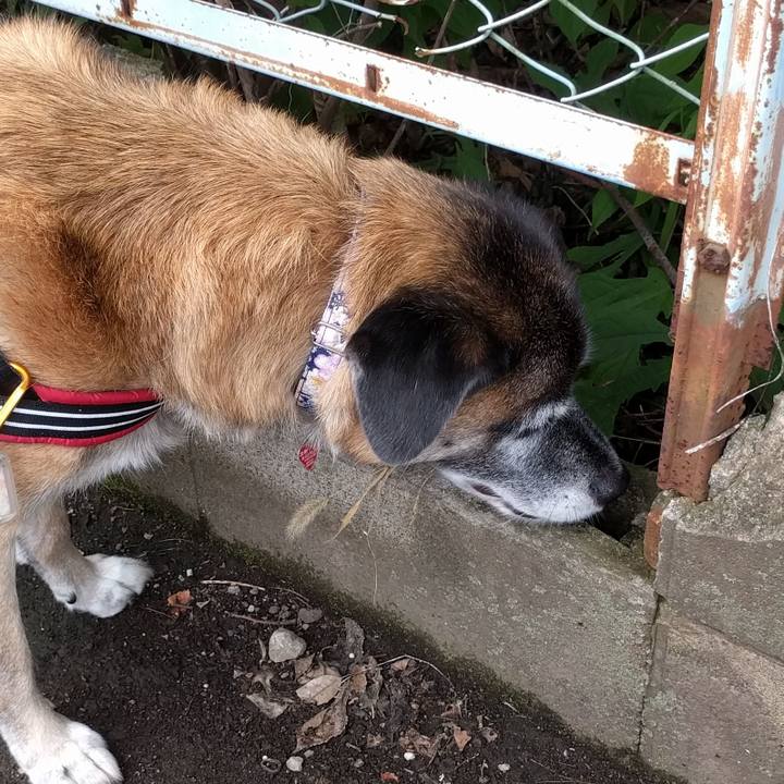 17ec5dec 7795 4ced 9638 4855e2968798