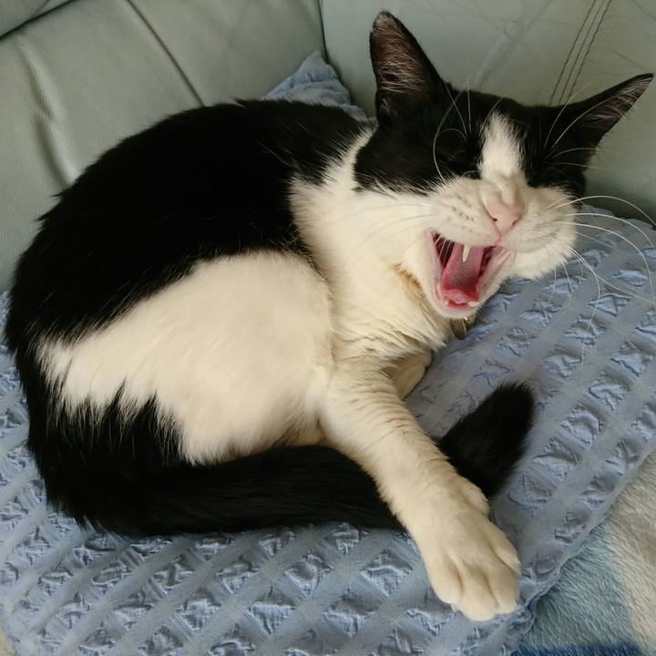 17ed1be1 724e 40f8 8393 a3cfc06ddce7