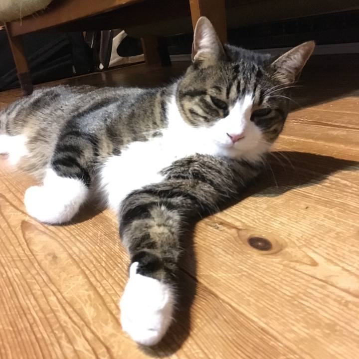 17ed56e9 cee7 4f62 aa98 9516d4c546ac