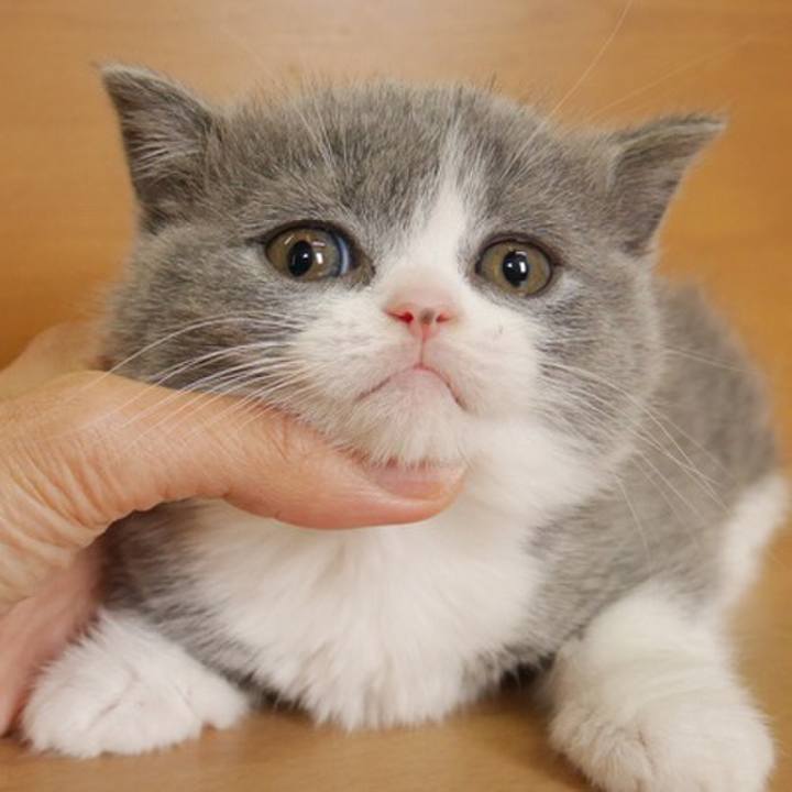 17ed6acb 6055 41c1 aa03 4a9cdd43d4f9