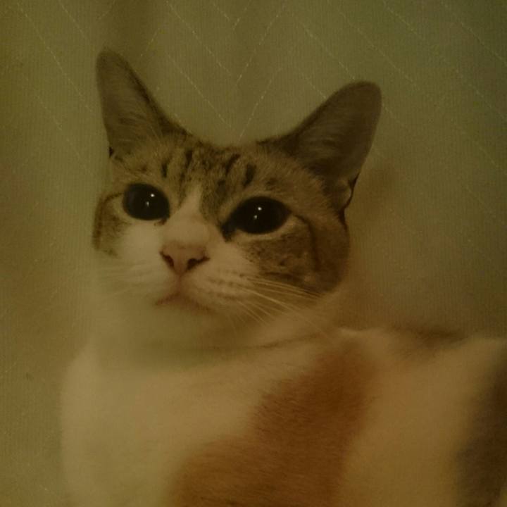 17ed7d9a 6502 42c1 9590 1c5fd0154914