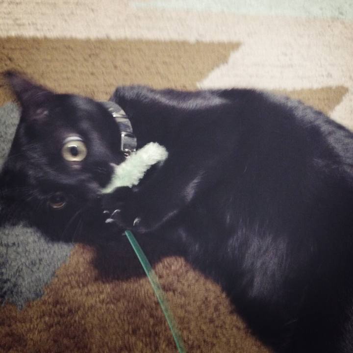 17edbd11 109d 4769 a060 65e2e2e084ac