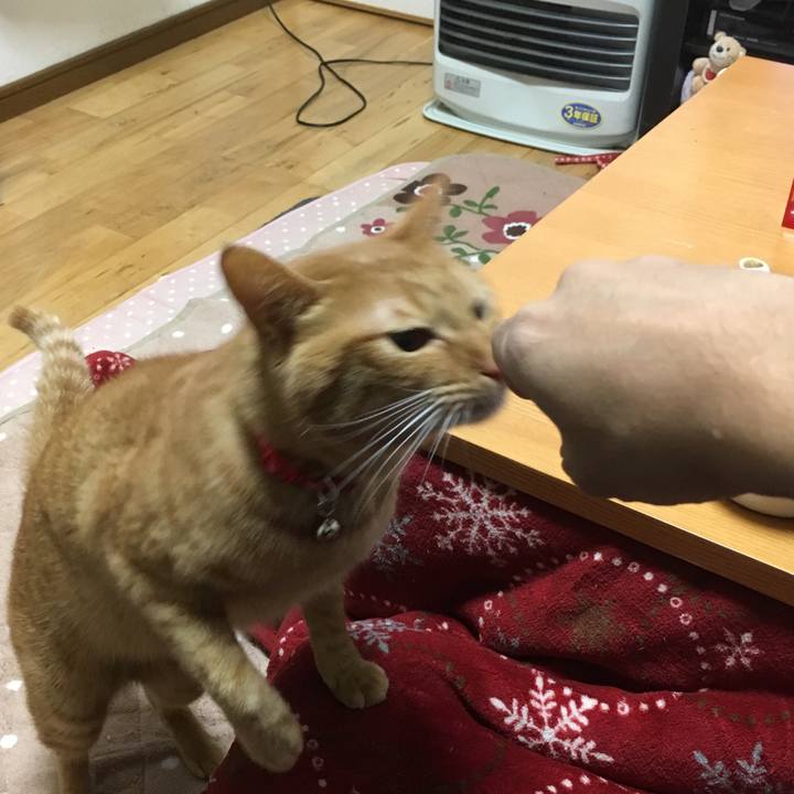 17ede92b 2b02 4161 9efb ecd514f57bd2