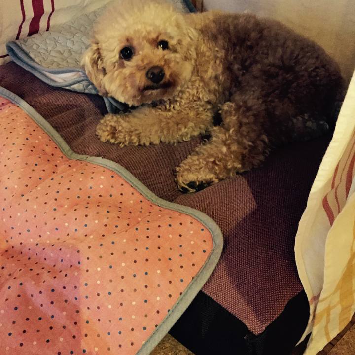 17edf0af 6074 487c 95df e8a84b85f665