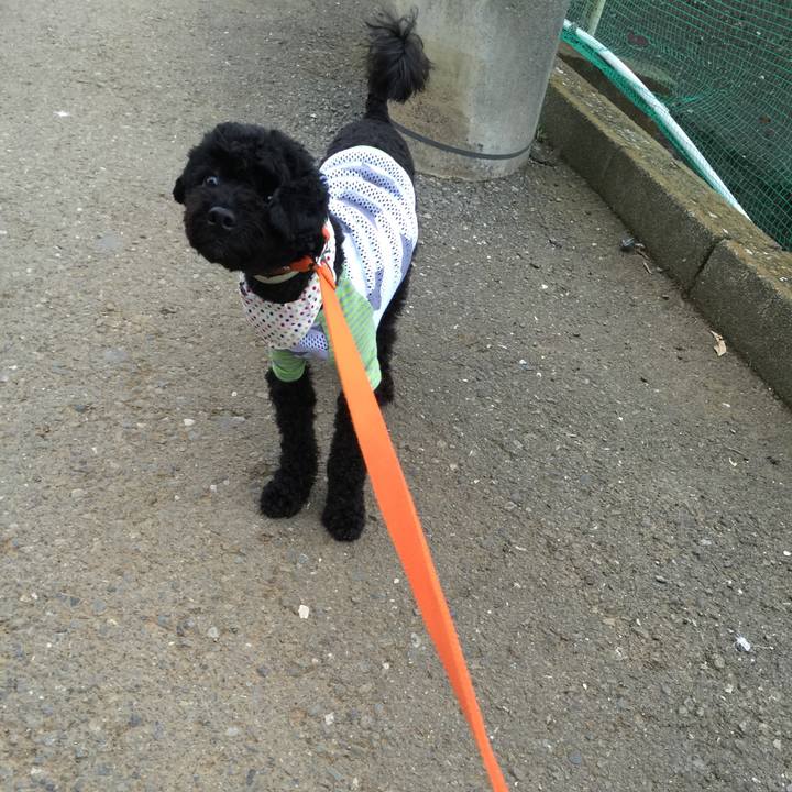 17ee141d 567b 4e41 a85b 8ac3756f9028