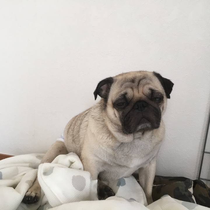 17ee2ea7 49f9 4524 923e 781bbe0e6ff8