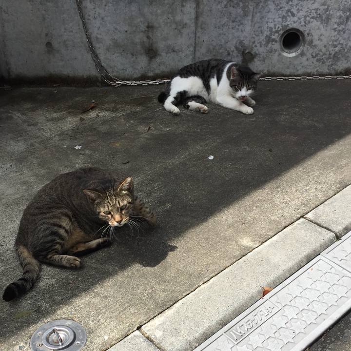 17ee6da2 b421 4bbe ada4 b6ff1a94cd6d