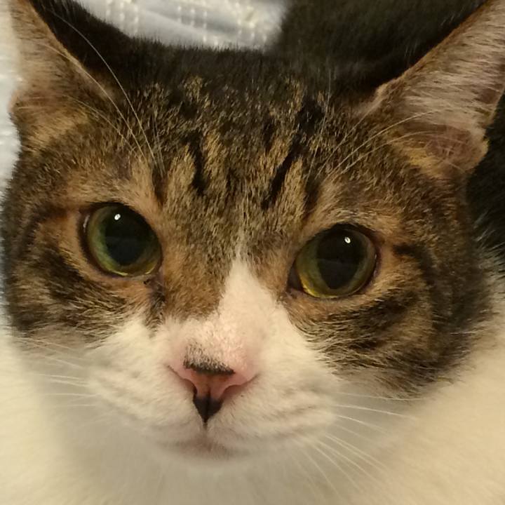 17ee8d2f 765f 4808 bf64 e3f0223049ce