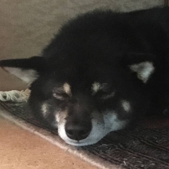 17ef3ac4 70dd 4eeb a358 3814f3e77743