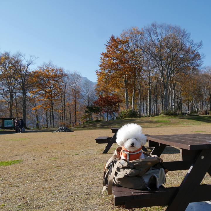 17ef4709 a925 4a88 b4ef b45995a47f4b