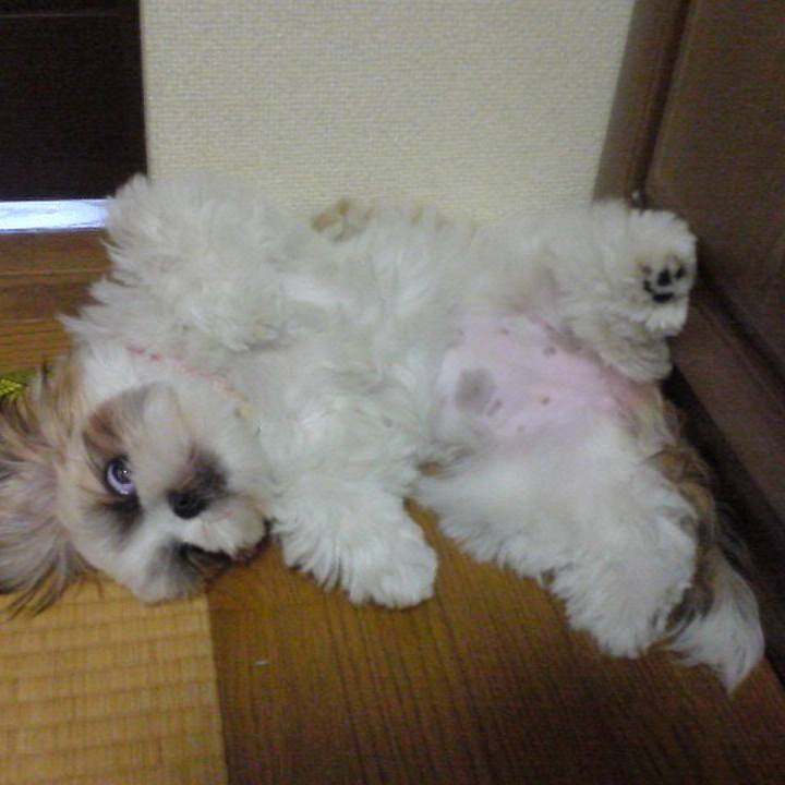 17ef8776 3859 4a34 95a9 e3c866021e18