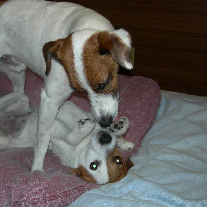 17f00879 b7a2 485c a938 96a63eef2b5f