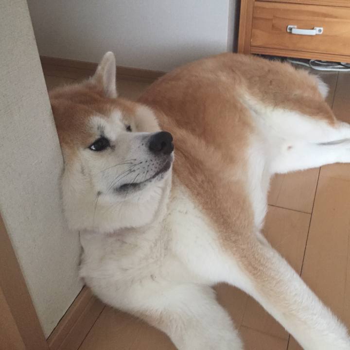 17f02691 7241 45c1 9207 a09038477fc1