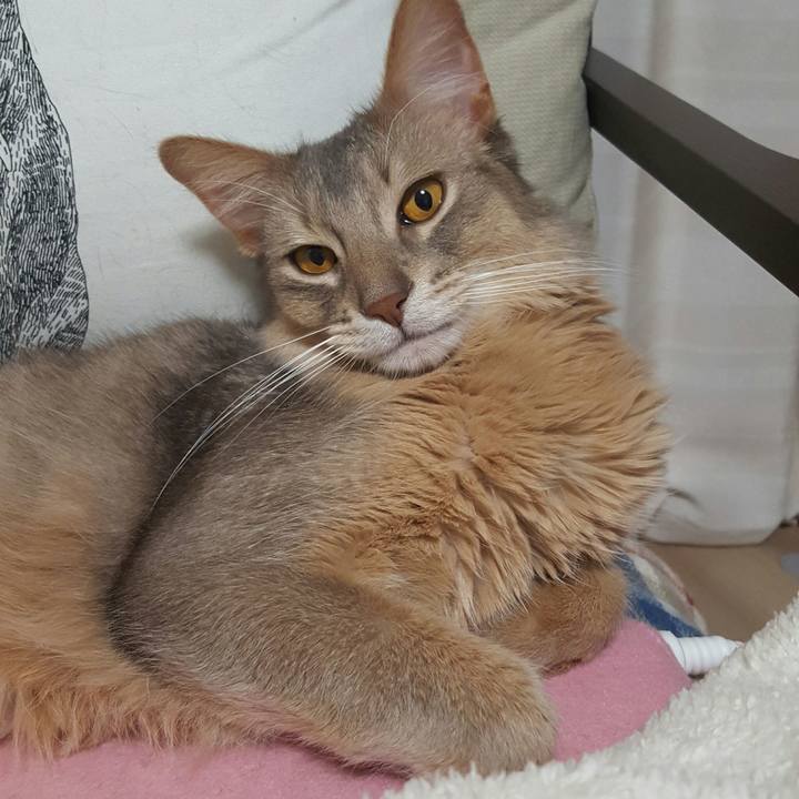 17f07d50 9d10 4867 8bc7 fc59bf37ef0f