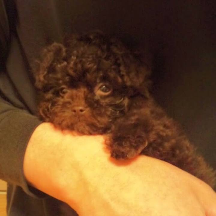 17f0fc55 8cd6 456a b974 81ea72b786dd