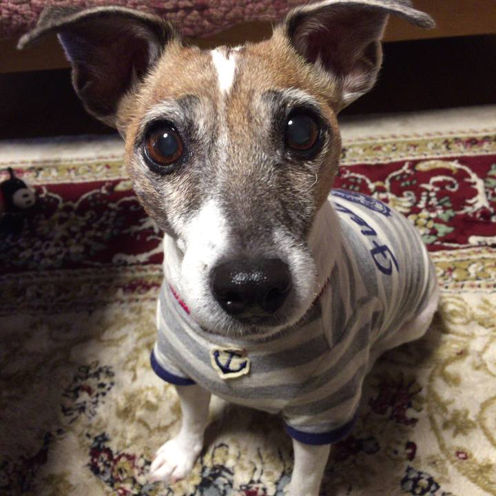 17f1c43a 5685 4591 8799 e58a1f5d8c51