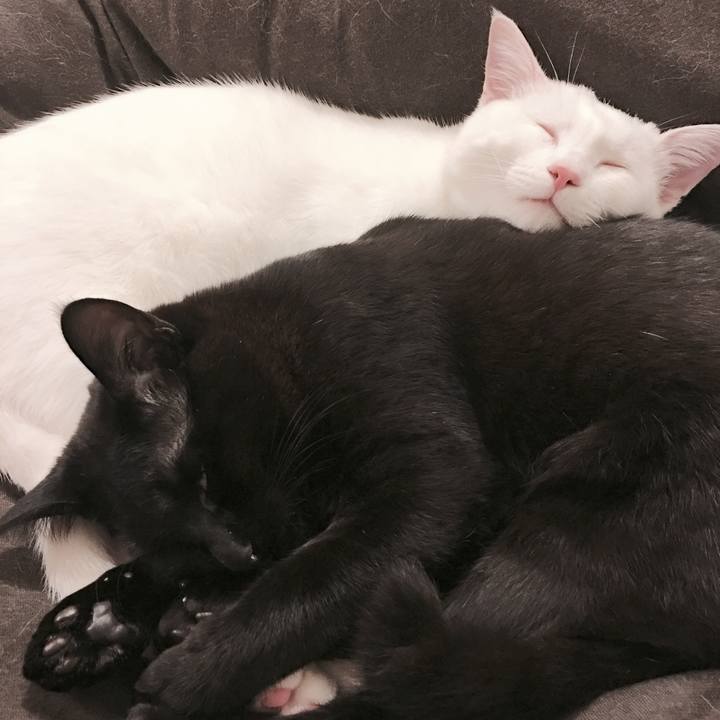 17f23677 ea2c 4e7a afb1 1fbf69fa8af7