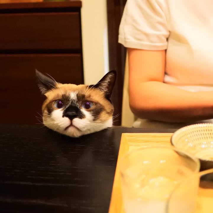 17f29df9 e8a1 455f 988c 22ac95f7c1a4