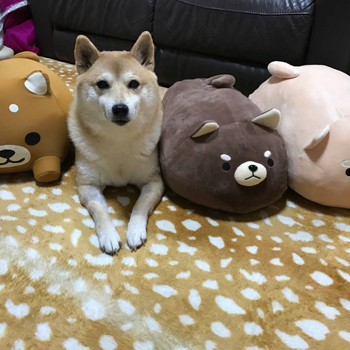 17f2edbe 5af4 4e9e b858 207b6b2d20c3