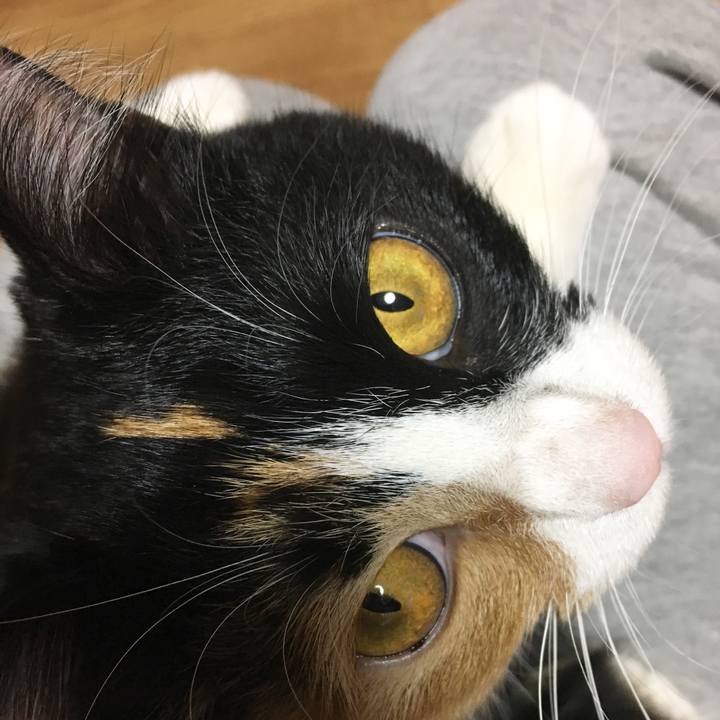 17f2fd9a 0980 4338 861c e9a01d97d648