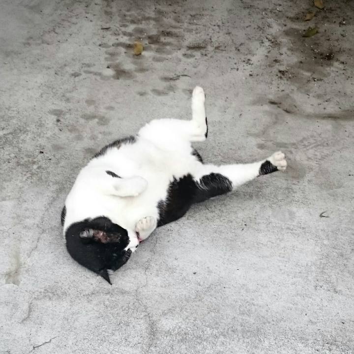 17f30144 44f6 4f55 bdf8 6e47e565ee15