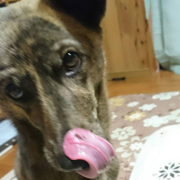 17f30ea6 5b8f 4e9f b1c6 e08c21c75d73