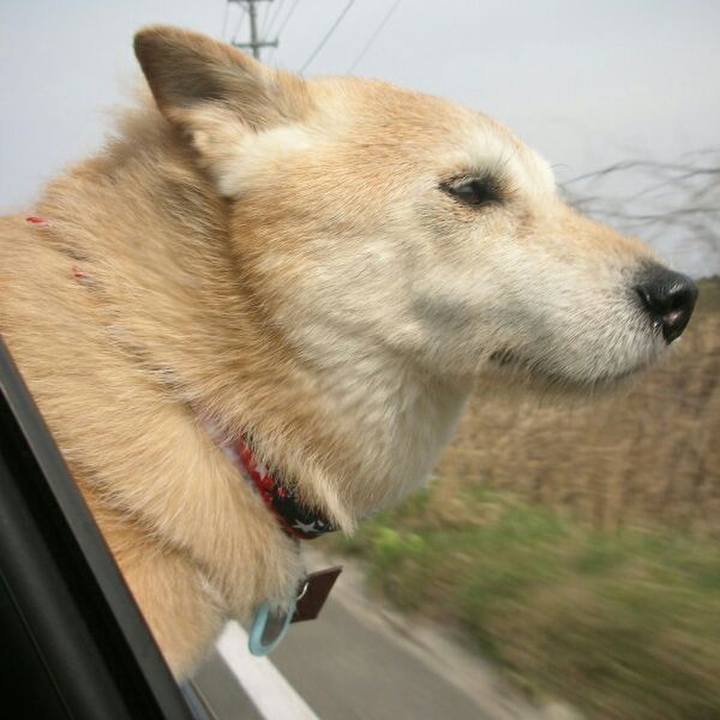 17f3f6f9 21ef 4757 a1d2 4f4ec7efa5d3