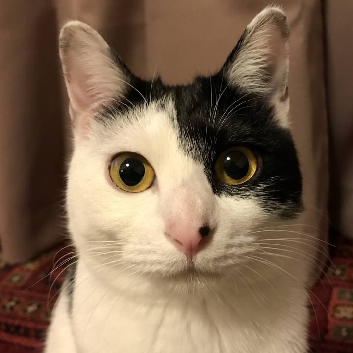 17f4bcd8 34e3 42d5 8576 13e51f84f5a6